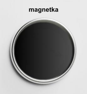Magnetky